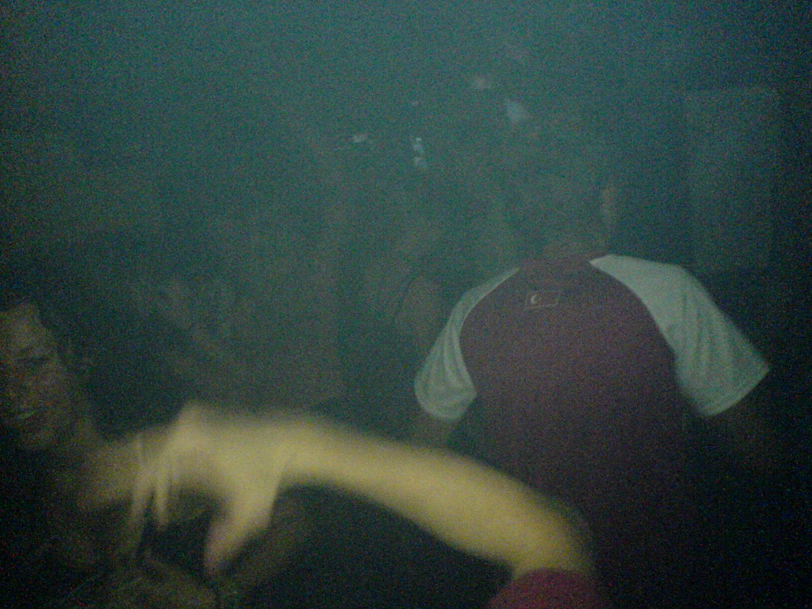 DSC00699.JPG